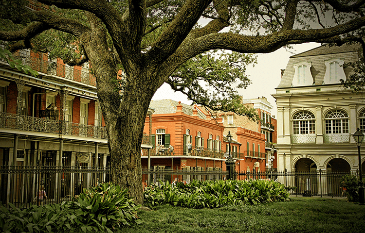 must do things in new orleans
