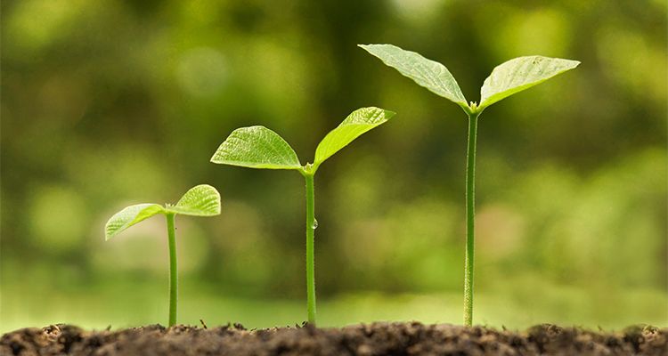 5 Best Allied Health Careers in Demand with Excellent Growth