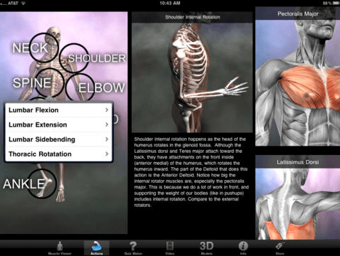 Muscle and Bone Anatomy 3D | Top 10 Useful Physical Therapy Apps for Patients to Try