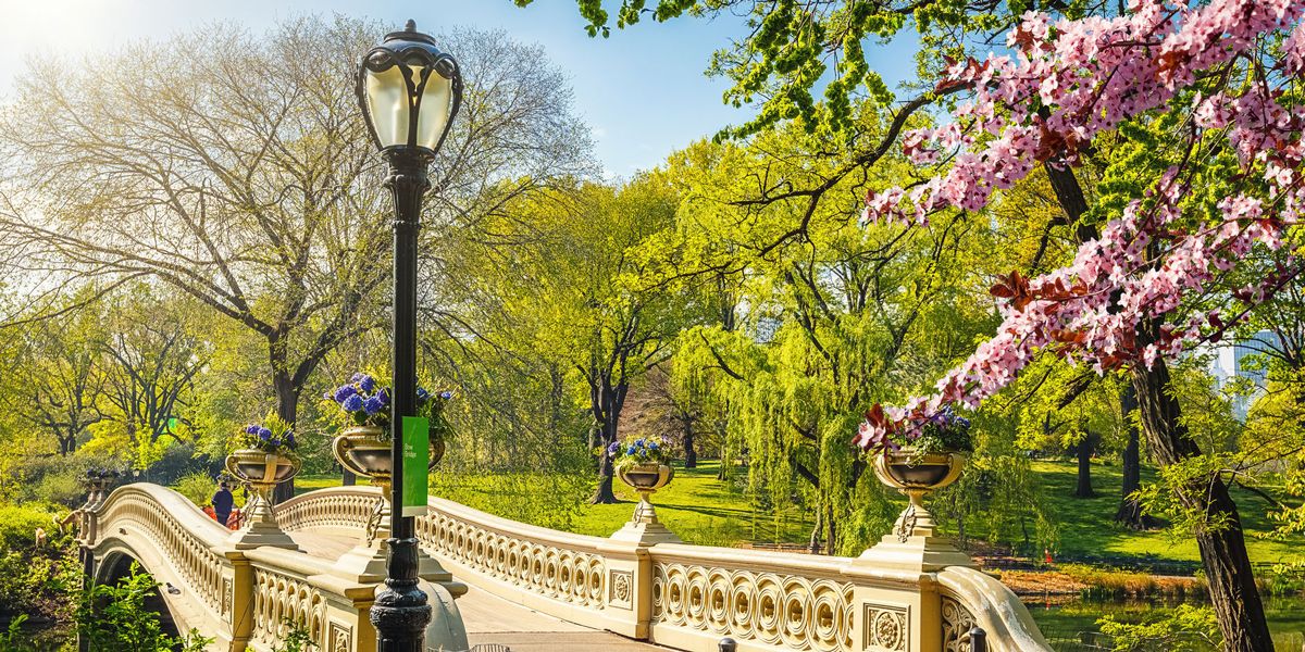 New York | 10 Best Cities for Nurses to Live When on Travel Assignment